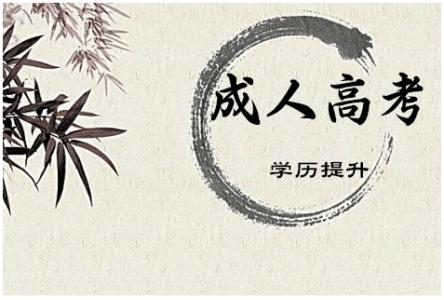 薛城成人高考考点